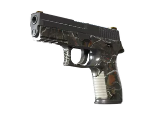 P250 | Small Game