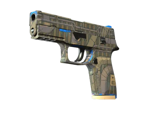P250 | Exchanger (Minimal Wear)