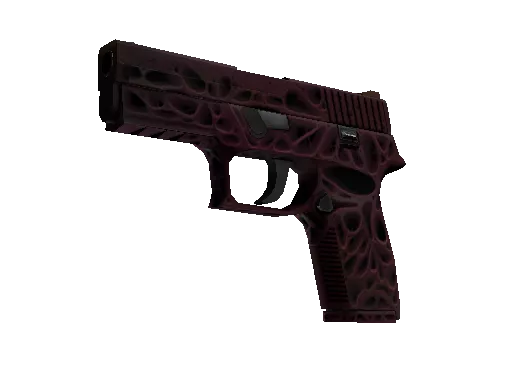 StatTrak™ P250 | Contaminant (Minimal Wear)