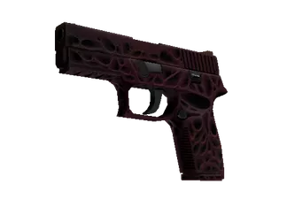 StatTrak™ P250 | Contaminant (Minimal Wear)