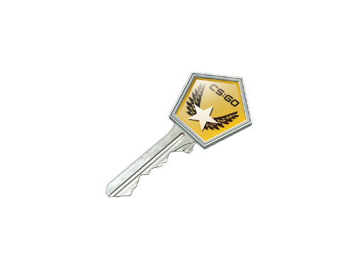 Winter Offensive Case Key