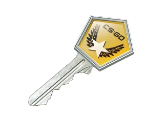 Winter Offensive Case Key