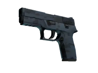 P250 | Forest Night